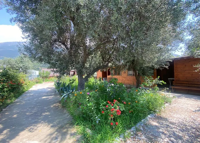 Violet Village